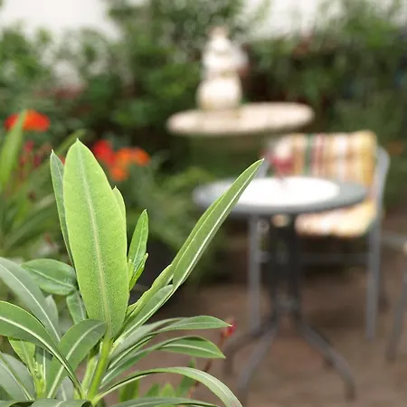 Apartment Klatschmohn Speyer