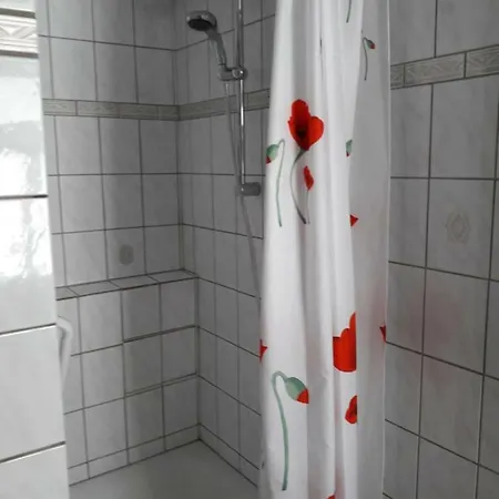 Klatschmohn Speyer