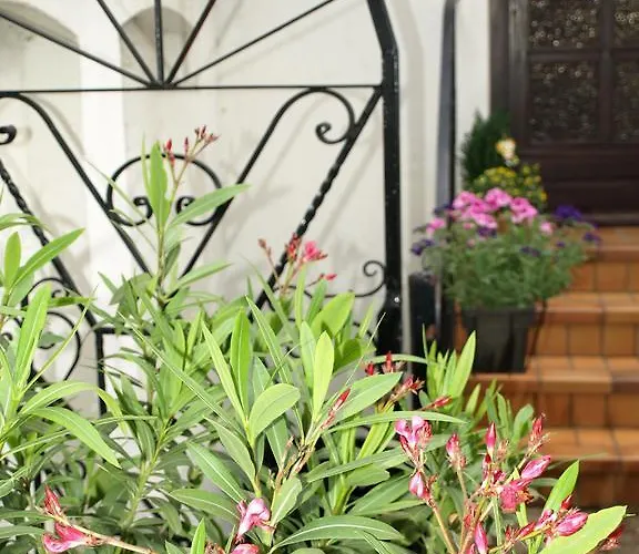 Apartment Klatschmohn Speyer