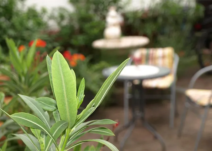 Apartment Klatschmohn Speyer