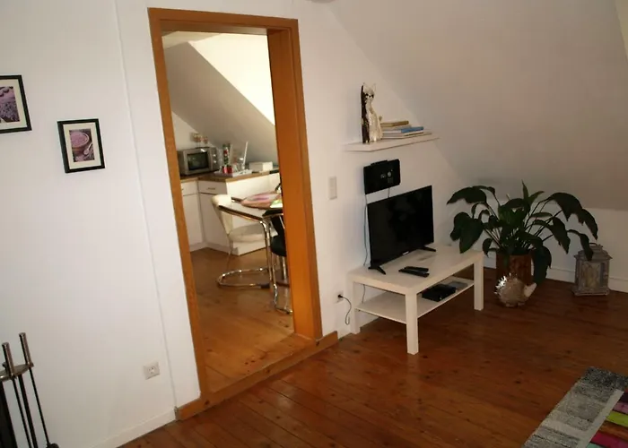 Klatschmohn * Speyer